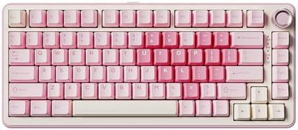 YUNZII B75 PRO Wireless Mechanical Keyboard,75% Layout with Knob,Hot Swap Gasket Custom Structure,Creamy Pre-lubed Switches,RGB Backlit,Bluetooth/Type-C/2.4G for Win/Mac(Milk Switch,Pink)